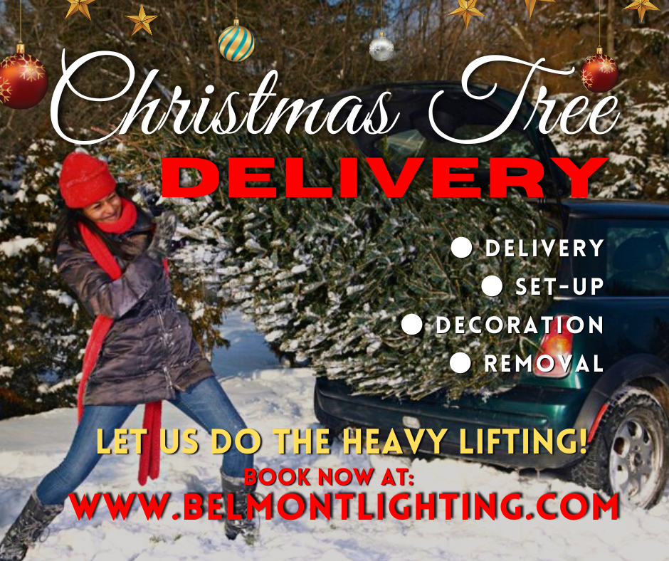 Christmas Tree Delivery Service
