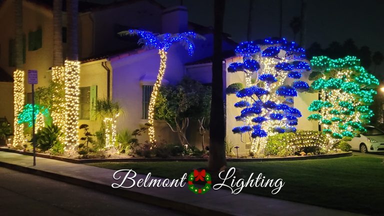 Christmas light installation booking naples island