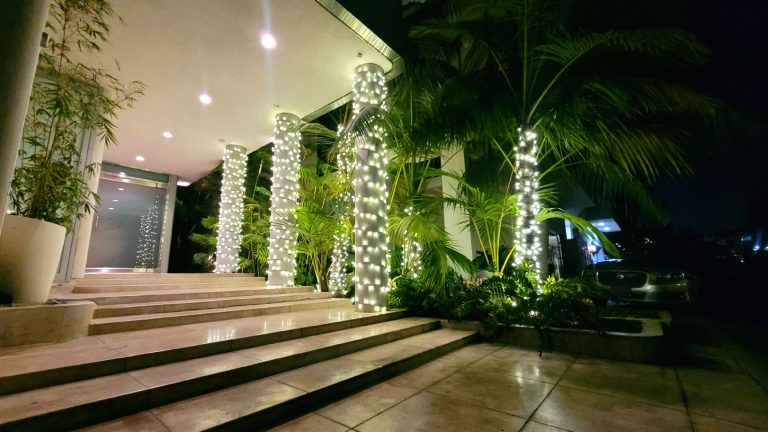 christmas lights installed professionally