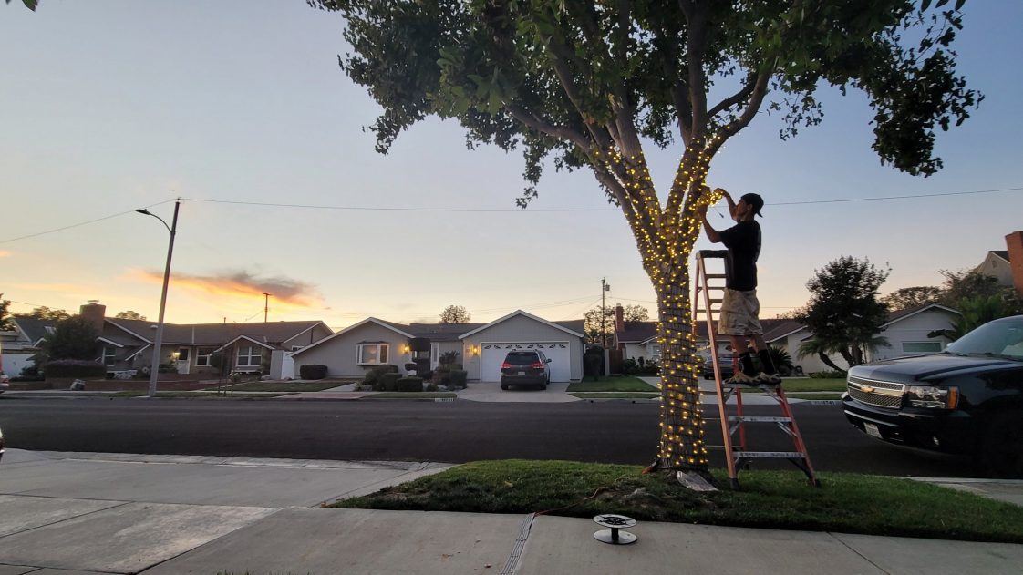 christmas light installation in belmont shore