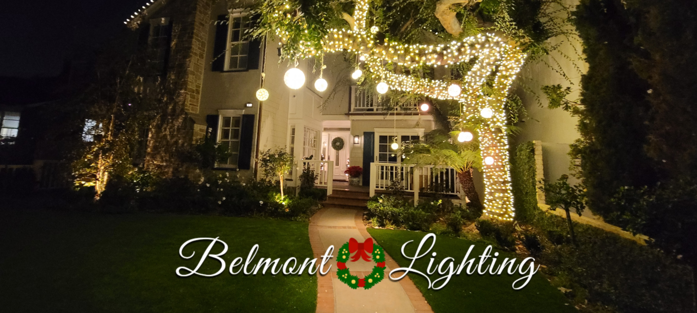 christmas light installation company