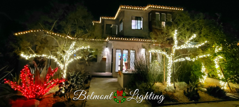 holiday christmas light installation