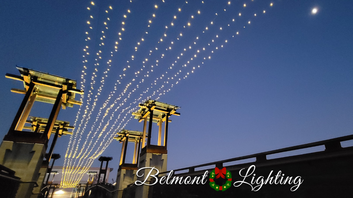 Holiday and event Lighting