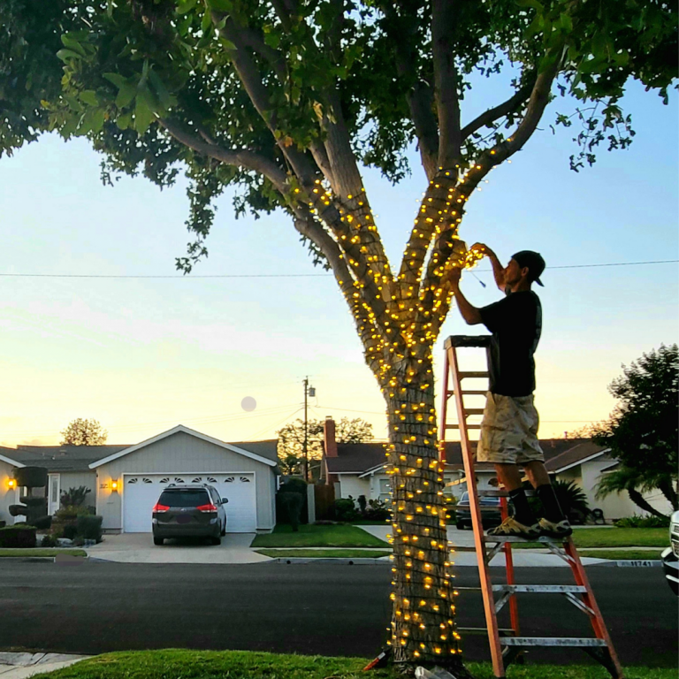 work installing christmas lights